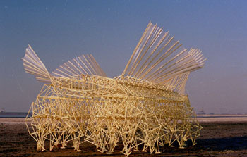 strandbeest0016[1].jpg